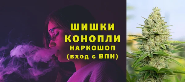 ECSTASY Лиски